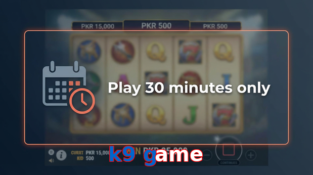 Payment and PKR controls in K9 Game